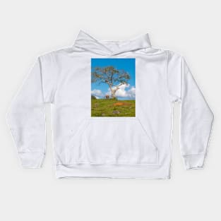 Single tree in Vinales Valley, Cuba Kids Hoodie